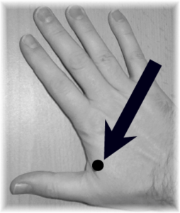 Biodot® Stresspunkt auf der Hand